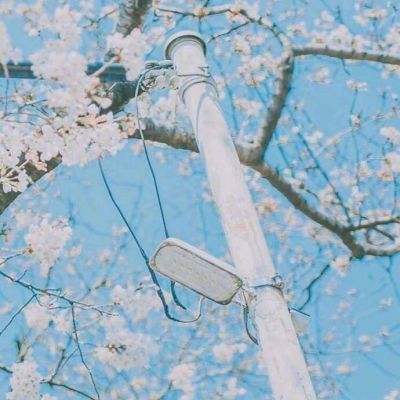 4399掌上洛克手机版下载